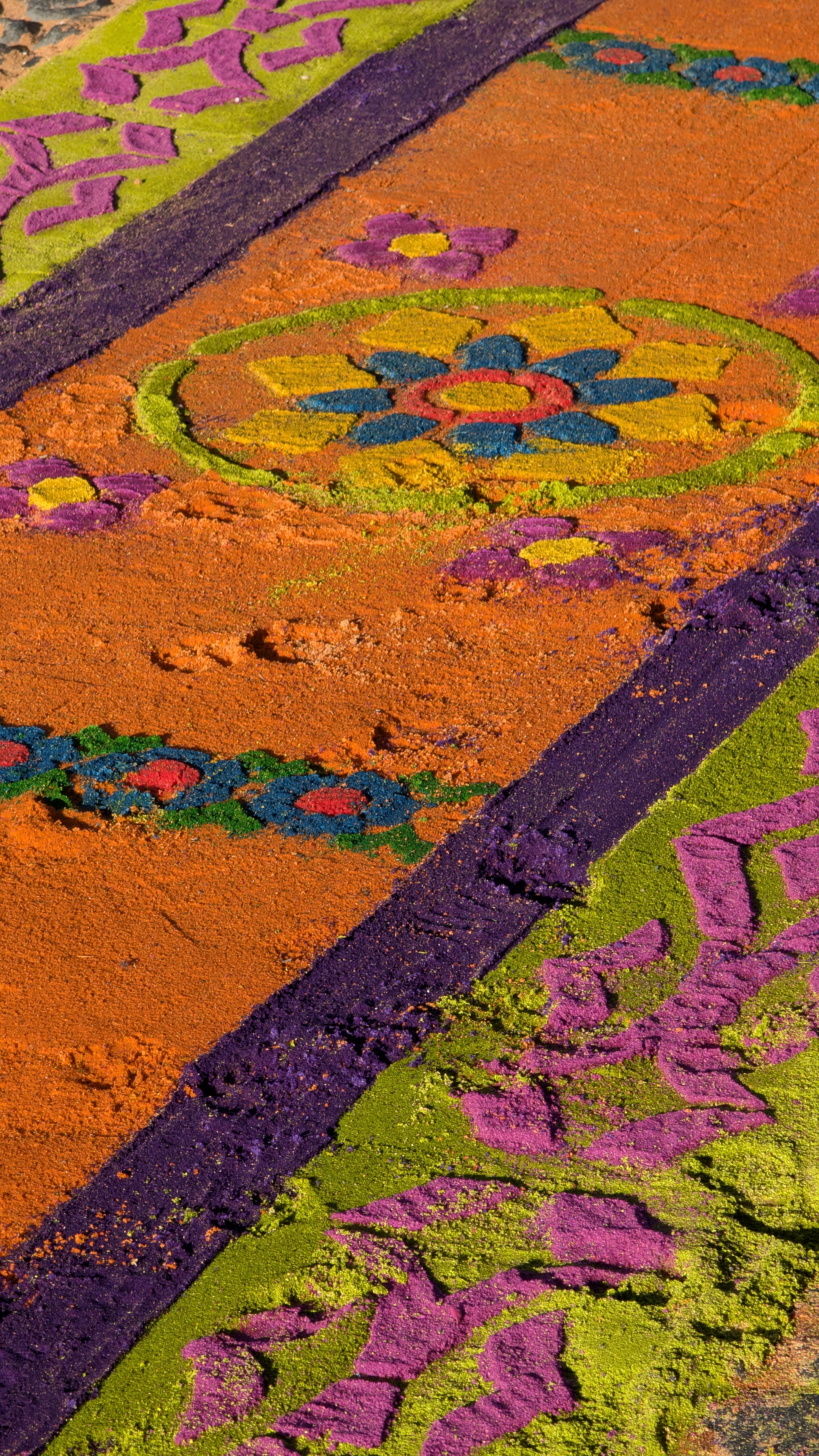 A dog's pawprints on an alfombra