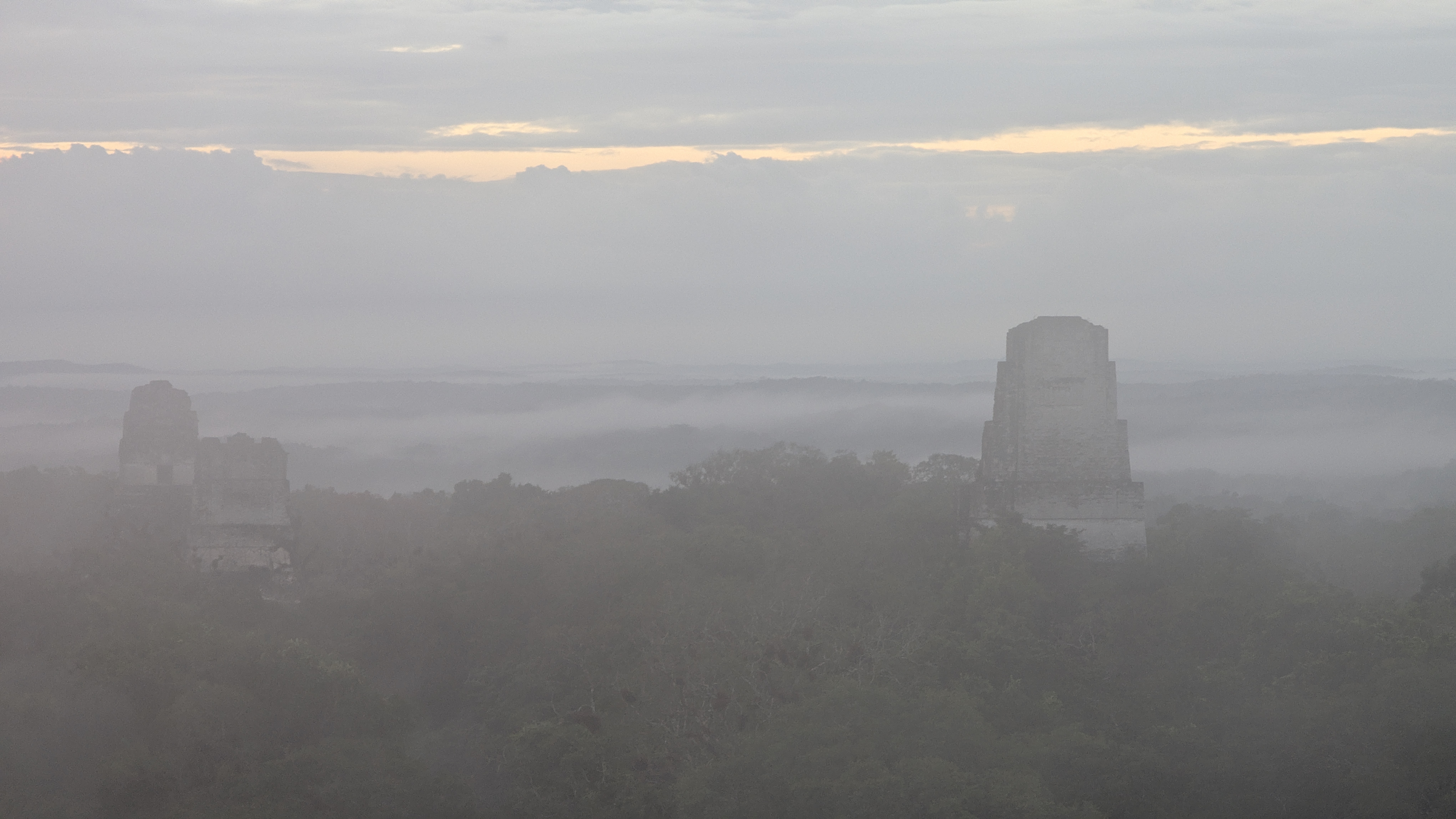 Tikal temples rising through the morning mist